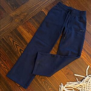 Aritzia Deep Blue Fleece Sweat Pants